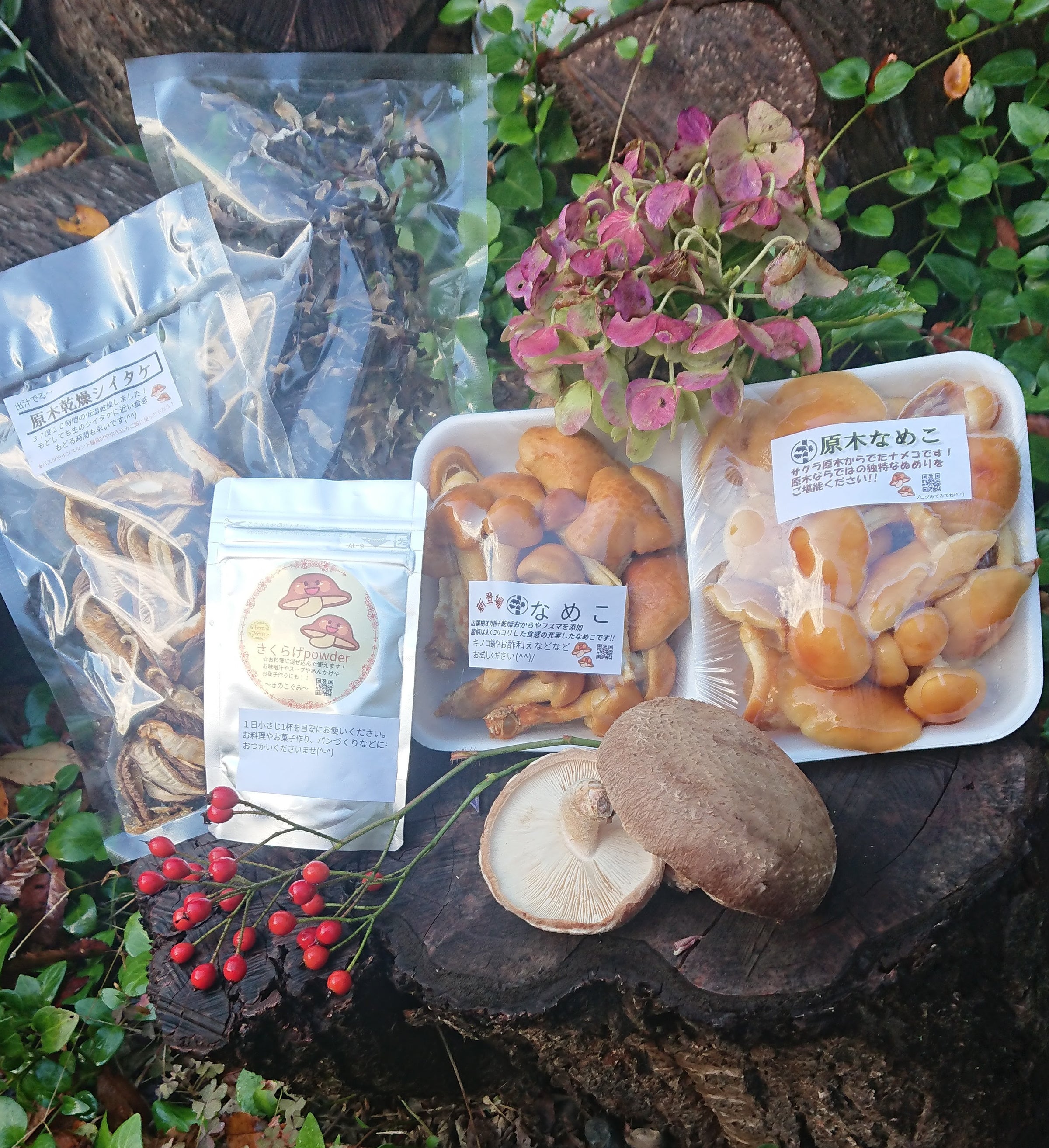 4ebe60f20ca56467280dfba442abfb